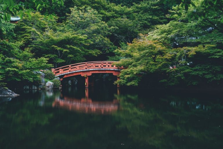 Photo Asia