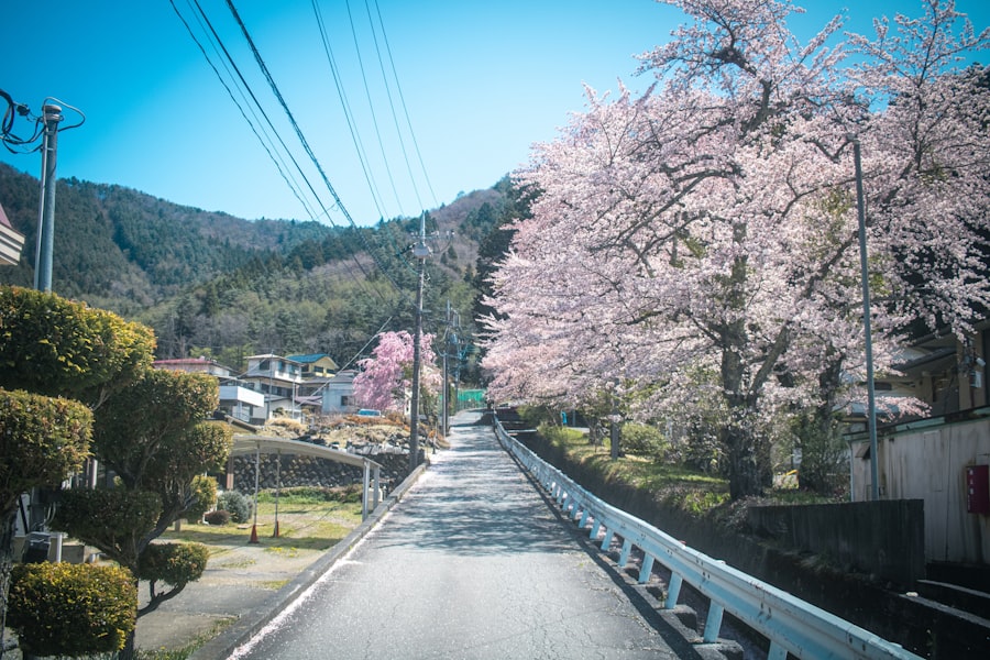 Japan road trip