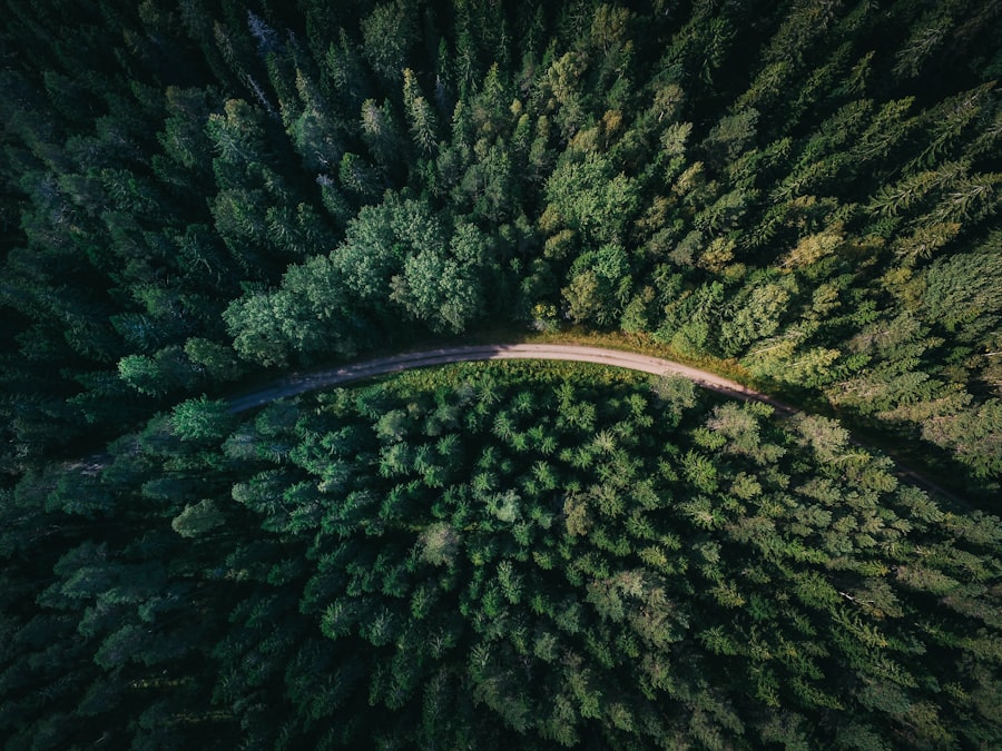 Photo road trip