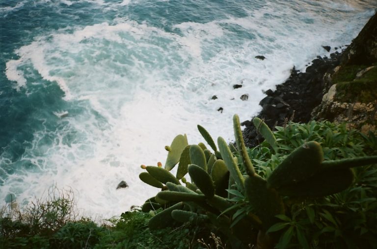 Photo Madeira