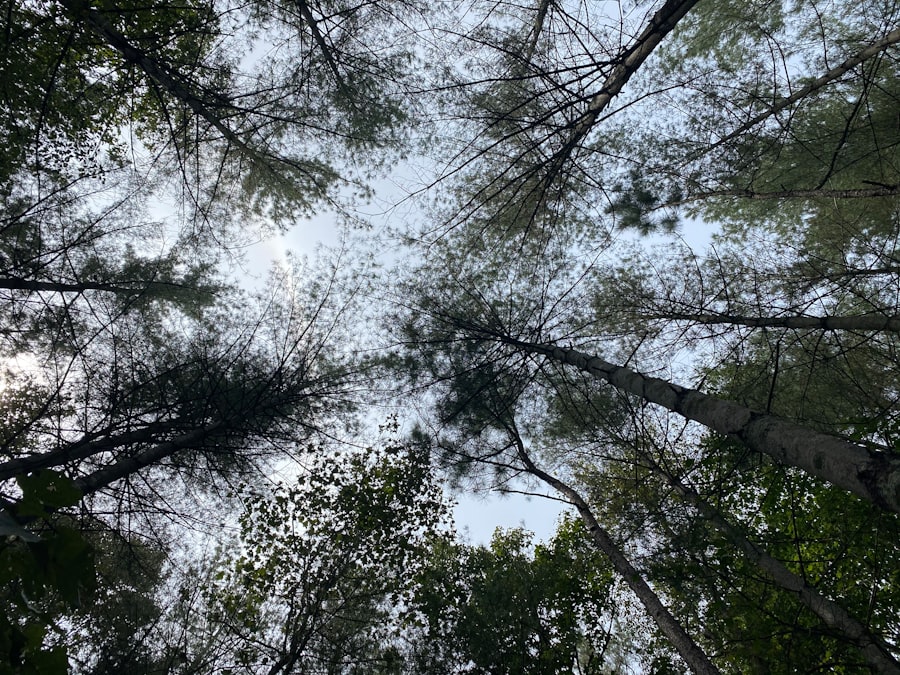 Reconnect with nature