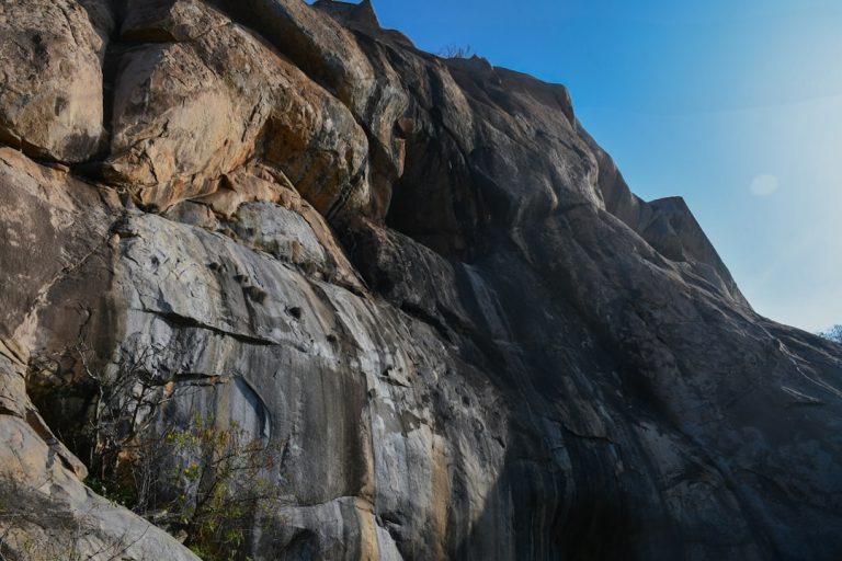 Photo Reconnect with nature