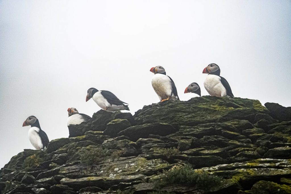 Photo Skellig Michael