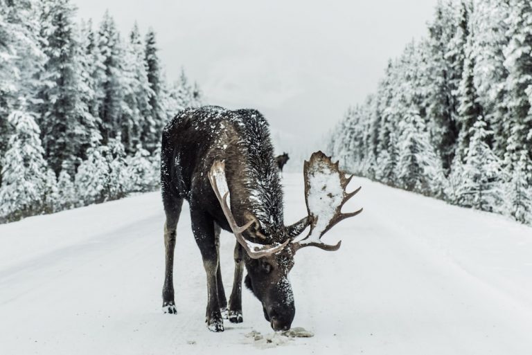 Photo Canada