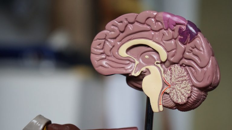 Photo Regulate Nervous System