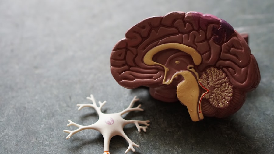 Photo Regulate Nervous System