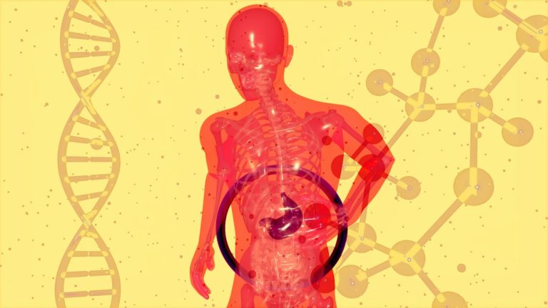 Photo metabolic rate