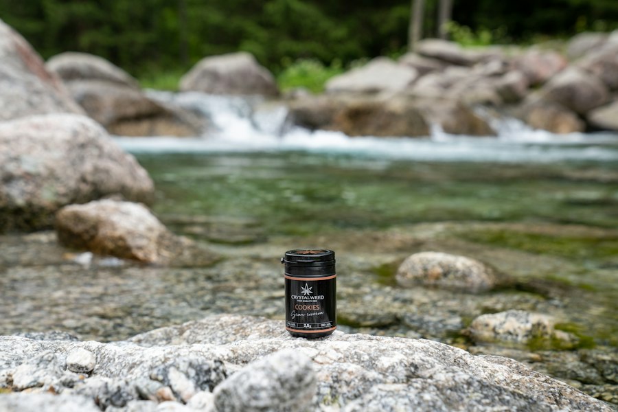 nature stress relief reset