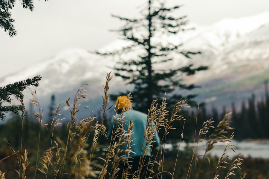 mental health benefits of nature outdoors
