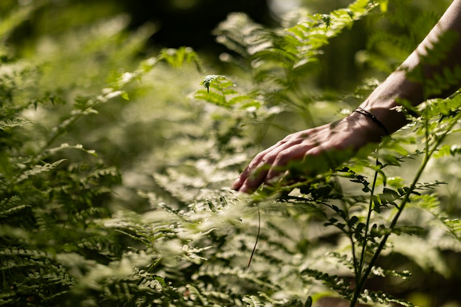 nature healing wellbeing outdoors