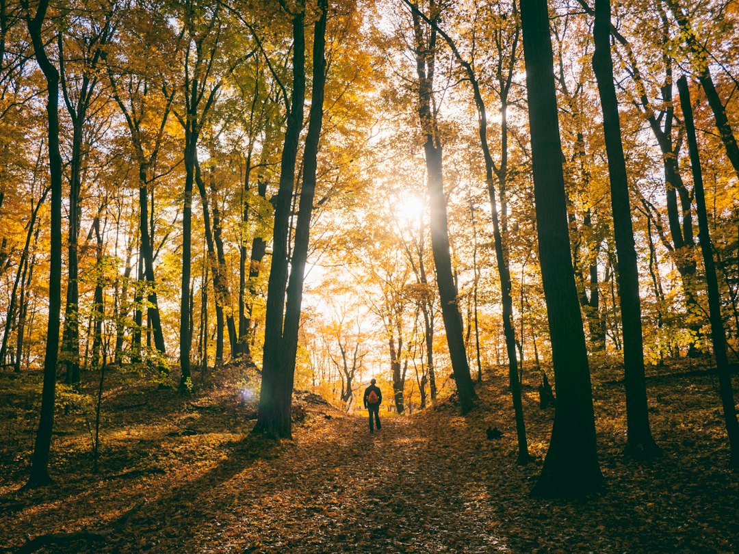 Photo nature walking mental wellbeing adventure